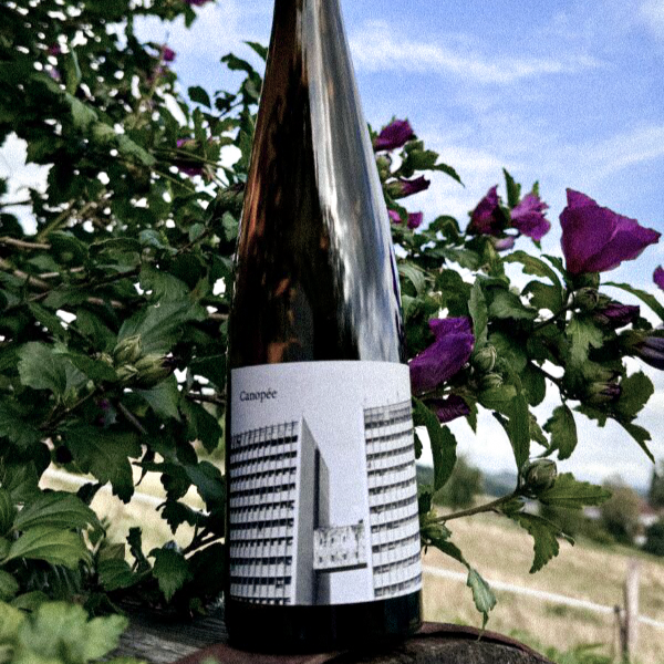 Canopée - Arthur Fèvre - Vin de France 2023 - Gros Manseng, Colombard - South-West, France - White