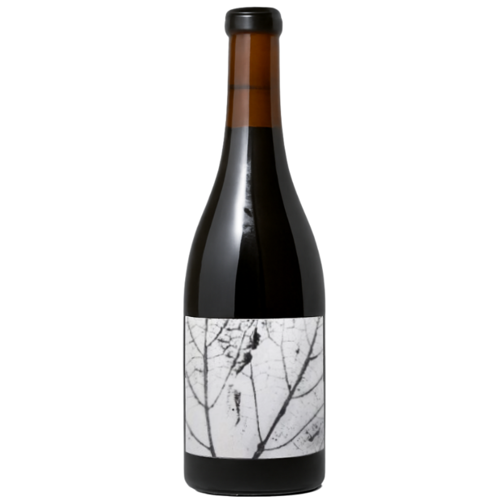 Carbòn - Arthur Fèvre - Vin du Chili 2021 - Grenache - Rouge