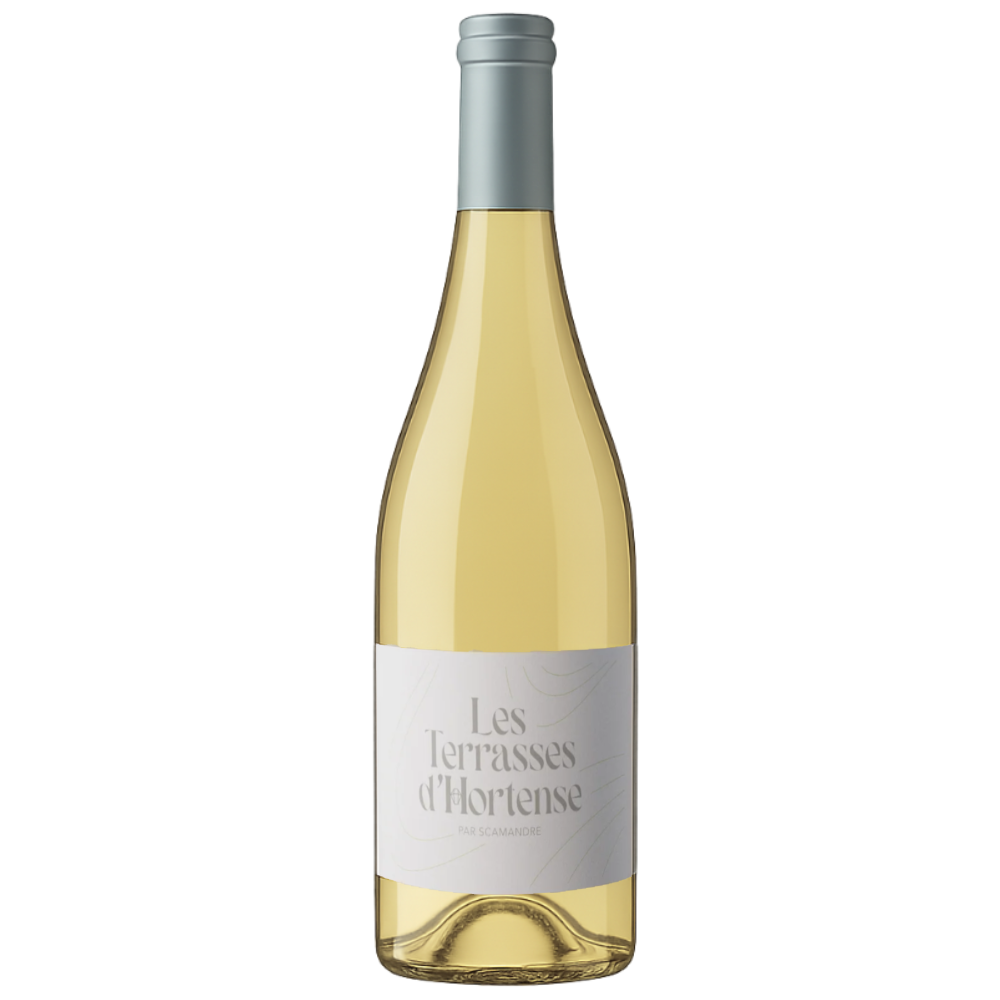 Les Terrasses d’Hortense - Domaine Scamandre - IGP Gard 2024 - Chardonnay, Muscat, Roussanne, Marsanne - Rhône Valley, France - White