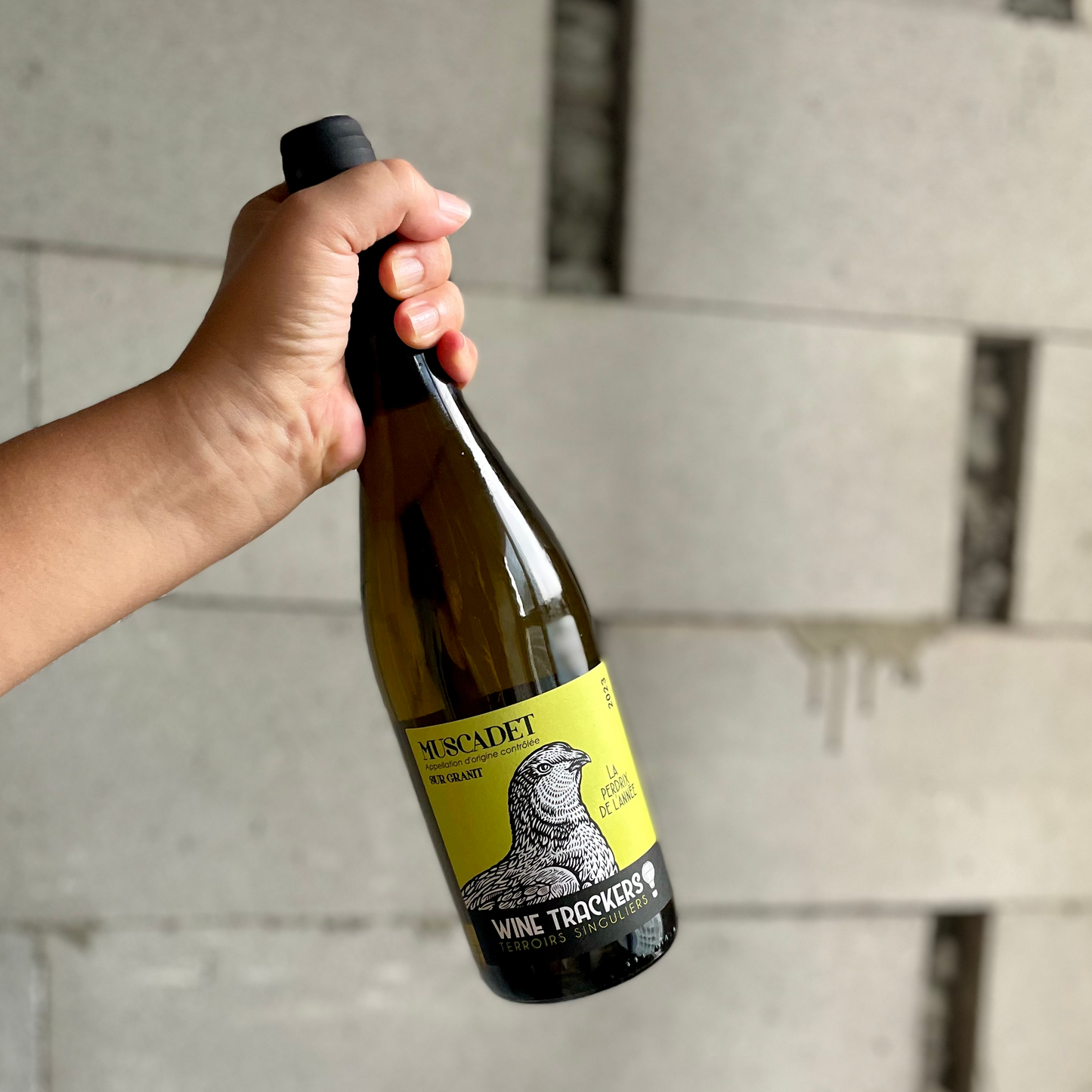 La perdrix de l'année - J.Mourat - AOC Muscadet 2023 - Melon de Bourgogne - Val de Loire, France - Blanc