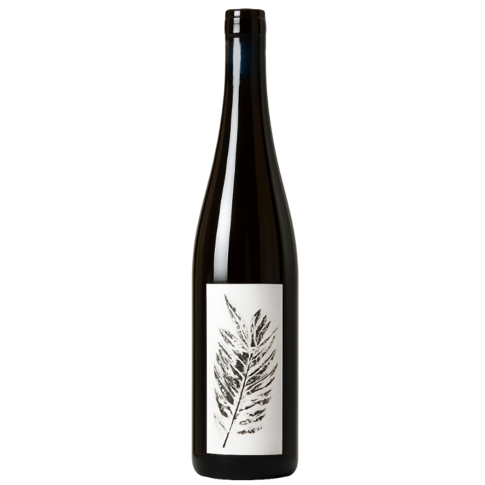 Sporée - Arthur Fèvre - Vin de France 2022 - Gros Manseng - Sud-Ouest, France - Blanc