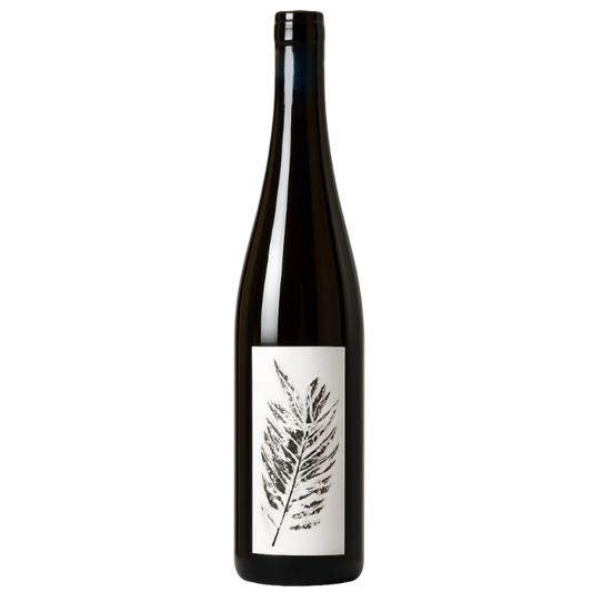 Sporée - Arthur Fèvre - Vin de France 2022 - Gros Manseng - 法國西南部 - 白色