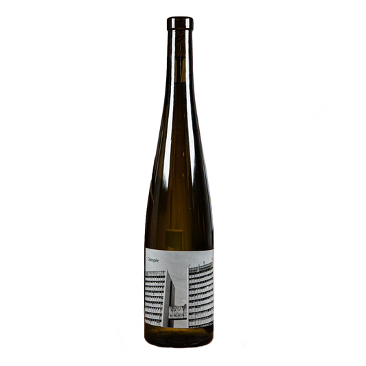 Canopée - Arthur Fèvre - Vin de France 2023 - Gros Manseng, Colombard - South-West, France - White