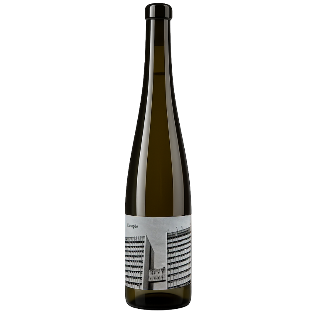Canopée - Arthur Fèvre - Vin de France 2023 - Gros Manseng, Colombard - South-West, France - White