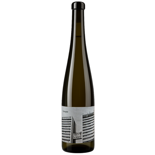 Canopée - Arthur Fèvre - Vin de France 2023 - Gros Manseng, Colombard - South-West, France - White