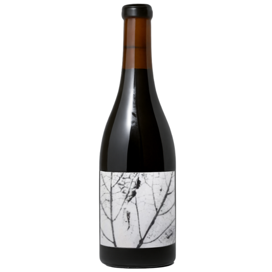 Carbòn - Arthur Fèvre - Vin du Chili 2021 - 歌海娜 - 紅色