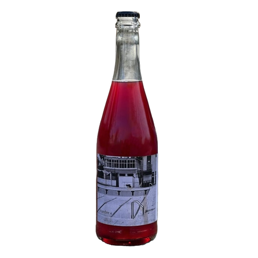 Chambre 4 - Arthur Fèvre - Vin de France 2023 - Syrah, Colombard - South-West, France - Sparkling Red