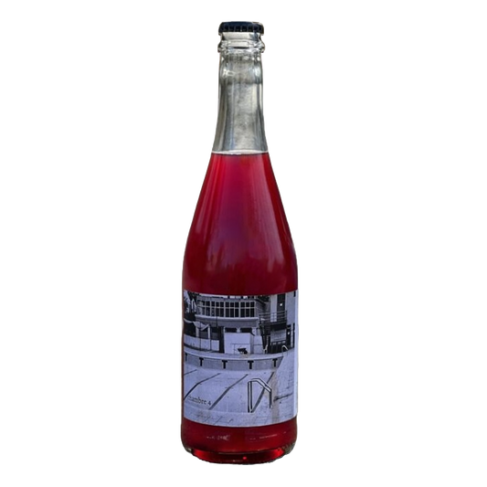Chambre 4 - Arthur Fèvre - Vin de France 2023 - Syrah, Colombard - South-West, France - Sparkling Red