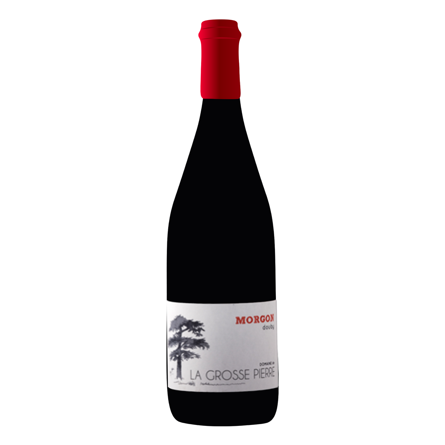 Douby - Domaine de la Grosse Pierre - AOC Morgon 2022 - Gamay - Beaujolais, France - Rouge