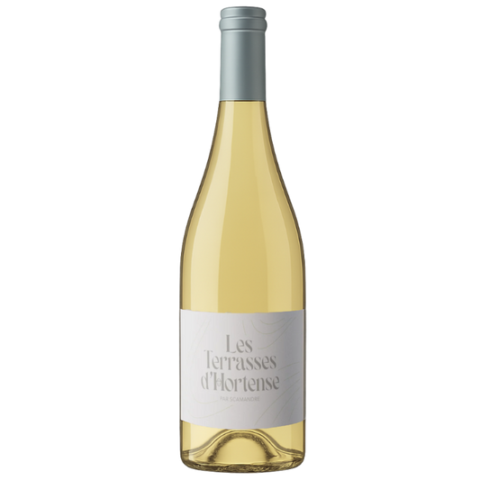 Les Terrasses d’Hortense - Domaine Scamandre - IGP Gard 2024 - Chardonnay, Muscat, Roussanne, Marsanne - Rhône Valley, France - White