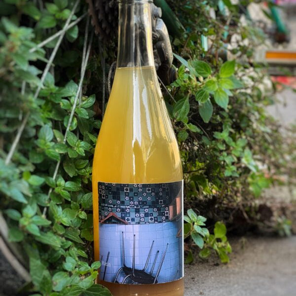 Matin - Arthur Fèvre - Vin de France 2023 - Gros Manseng - South-West, France - Sparkling White
