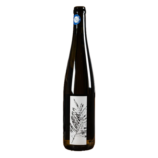 Sporée - Arthur Fèvre -  Vin de France 2022 - Gros Manseng - South-West, France - White